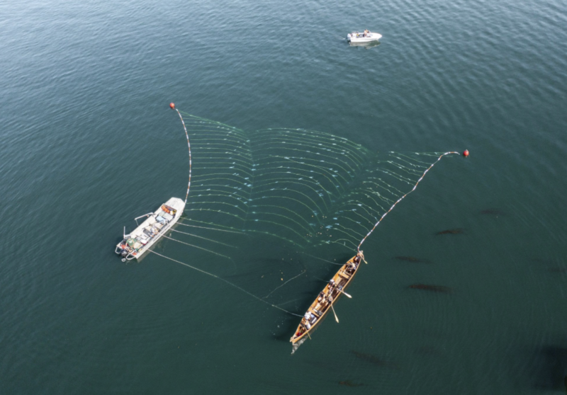 Two boats spread a reef net across the water in the Salish Sea.